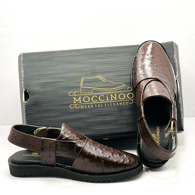 Moccinoo Ostrich CKT